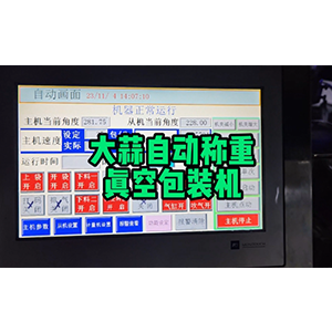 大蒜自動稱重真空包裝機